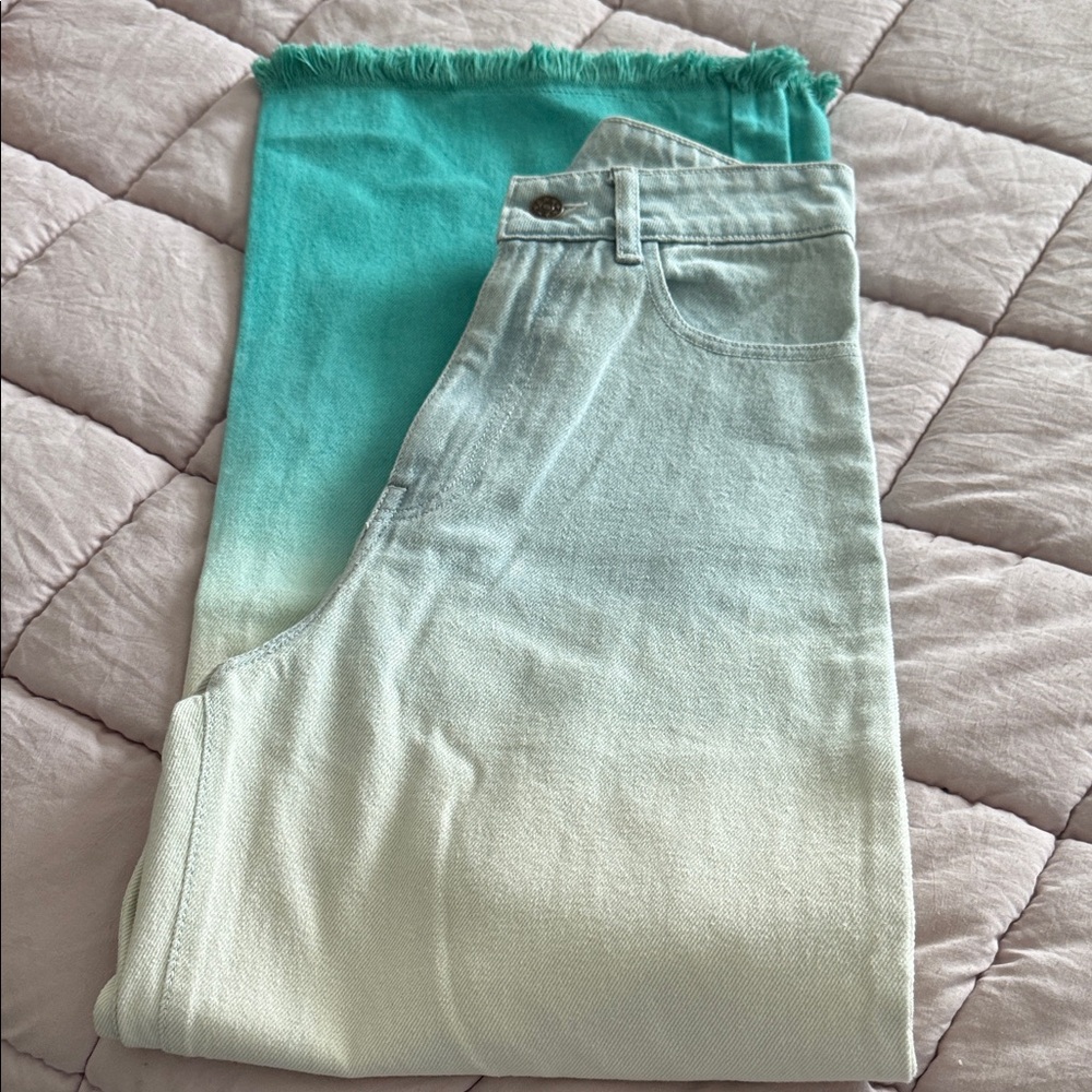 New York & Company Teal Ombre Flare Jeans